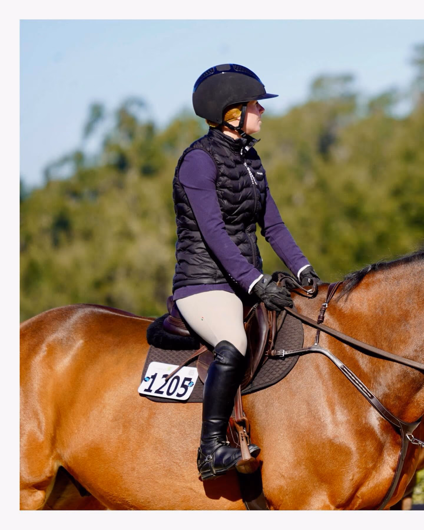 A rider sitting quietly on a bay horse