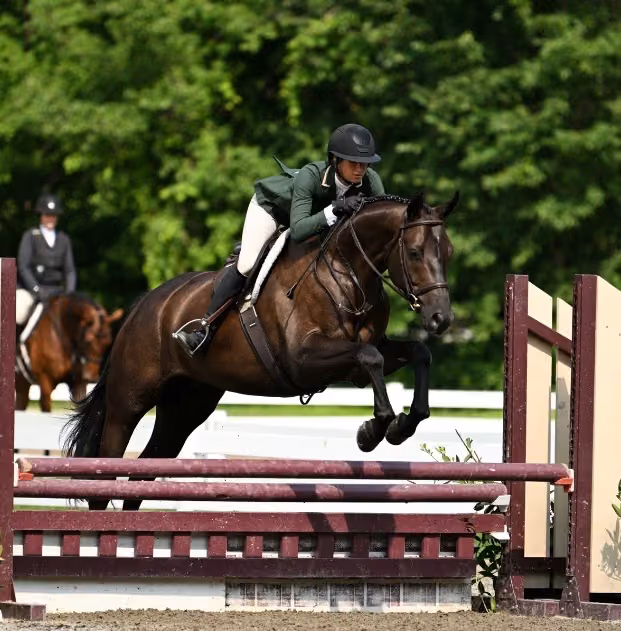 Armande NHF